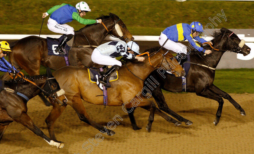 Jorvik-Prince-0005 
 JORVIK PRINCE (Tony Hamilton) beats ROYAL MEZYAN (centre) and TIME TO REASON (farside) in The Betway Sprint Handicap
Wolverhampton 28 Nov 2018 - Pic Steven Cargill / Racingfotos.com