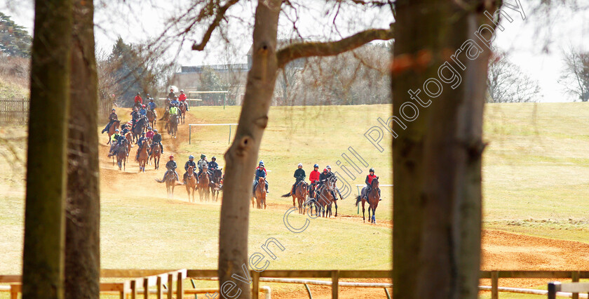 John-Gosden-0010 
 String of two year olds trained by John Gosden return from the gallops in Newmarket 23 Mar 2018 - Pic Steven Cargill / Racingfotos.com