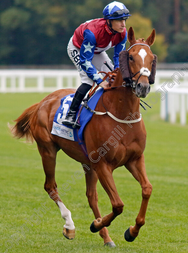 Justus-0002 
 JUSTUS (Richard Kingscote)
Ascot 30 Sep 2022 - Pic Steven Cargill / Racingfotos.com