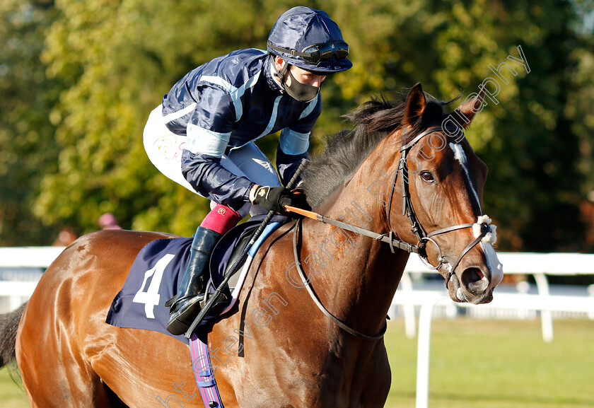 Dark-Spectre-0001 
 DARK SPECTRE (Oisin Murphy) winner of The Betway Maiden Stakes Div1
Lingfield 4 Aug 2020 - Pic Steven Cargill / Racingfotos.com