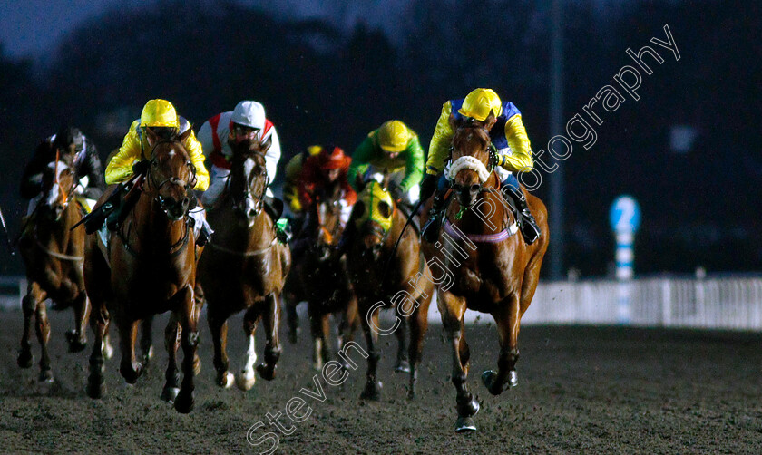 Cashel-0001 
 CASHEL (Alistair Rawlinson) wins The Introducing Racing TV Handicap
Kempton 16 Jan 2019 - Pic Steven Cargill / Racingfotos.com