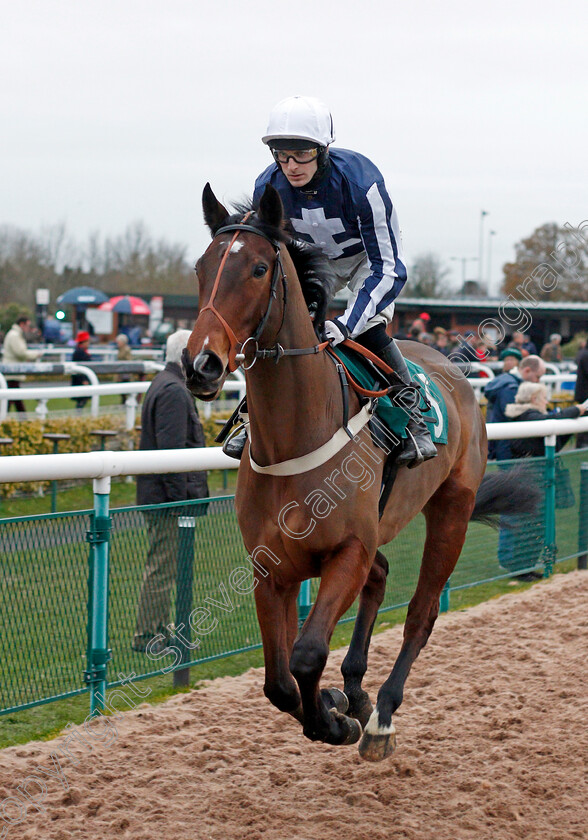 Grand-Knight-0001 
 GRAND KNIGHT (Harry Bannister)
Warwick 9 Dec 2021 - Pic Steven Cargill / Racingfotos.com