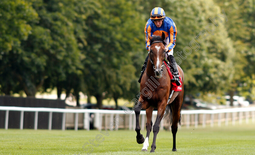 Barbados-0001 
 BARBADOS (Ryan Moore)
Newmarket 11 Jul 2019 - Pic Steven Cargill / Racingfotos.com