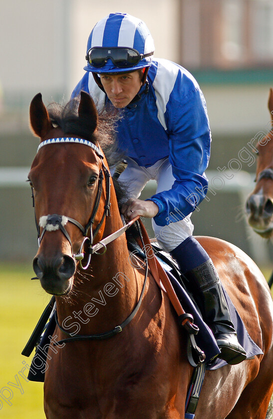 Fakhoor-0002 
 FAKHOOR (Jim Crowley) Yarmouth 16 Oct 2017 - Pic Steven Cargill / Racingfotos.com