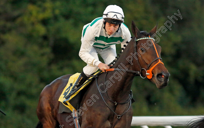 Heat-Of-Passion-0002 
 HEAT OF PASSION (Luke Morris)
Kempton 2 Oct 2024 - pic Steven Cargill / Racingfotos.com