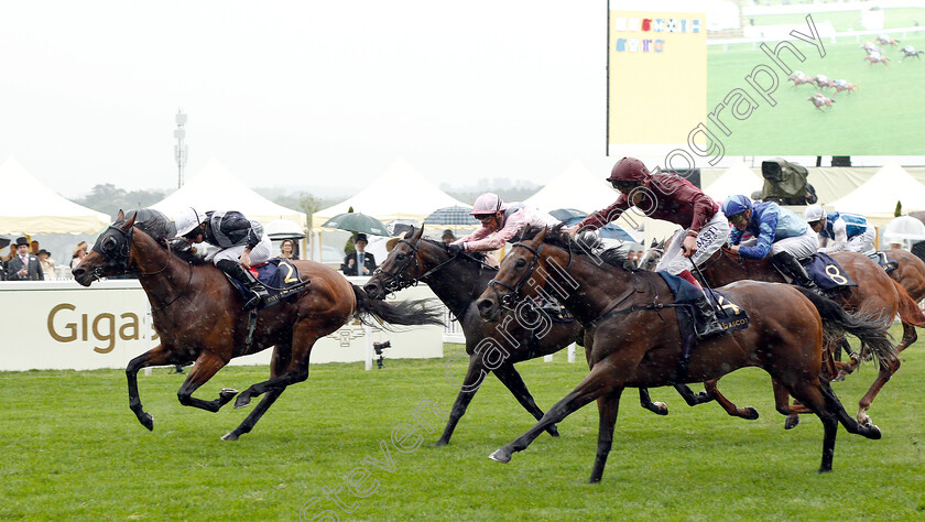 Circus-Maximus-0002 
 CIRCUS MAXIMUS (left, Ryan Moore) beats KING OF COMEDY (right) and TOO DARN HOT (centre) in The St James's Palace Stakes (as Ryan Moore drops whip)
Royal Ascot 18 Jun 2019 - Pic Steven Cargill / Racingfotos.com