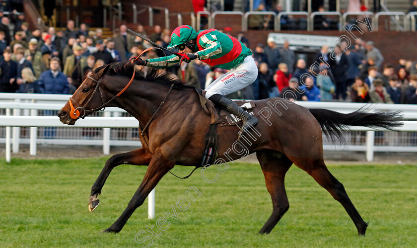 Jet-Blue-0003 
 JET BLUE (James Reveley) wins The Albert Bartlett Novices Hurdle
Cheltenham 14 Dec 2024 - Pic Steven Cargill / Racingfotos.com