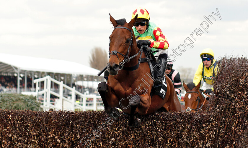 Crucial-Role-0002 
 CRUCIAL ROLE (Harry Skelton)
Aintree 5 Apr 2019 - Pic Steven Cargill / Racingfotos.com