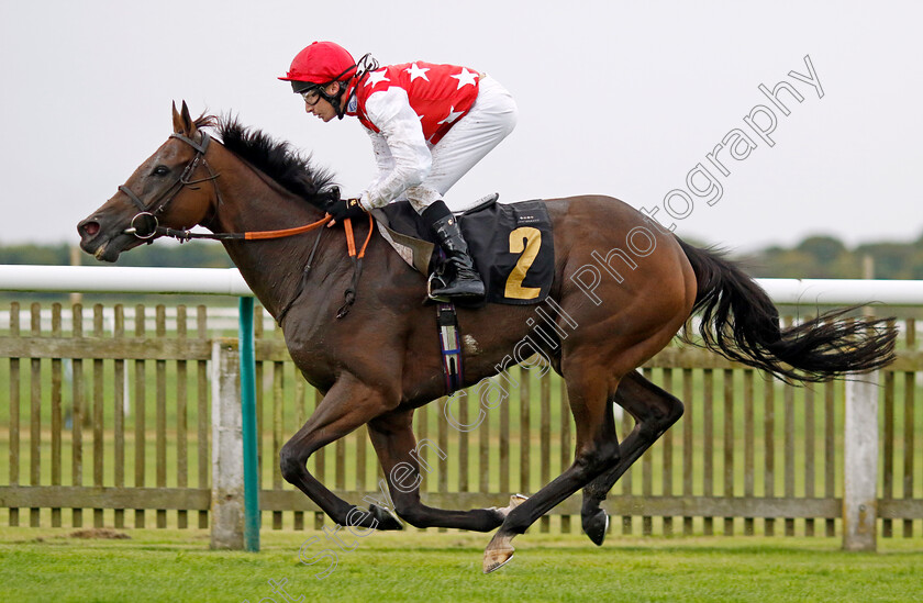 Al-Nayyir-0001 
 AL NAYYIR (Luke Morris) wins The Jockey Club Rose Bowl Stakes
Newmarket 26 Sep 2024 - Pic Steven Cargill / Racingfotos.com