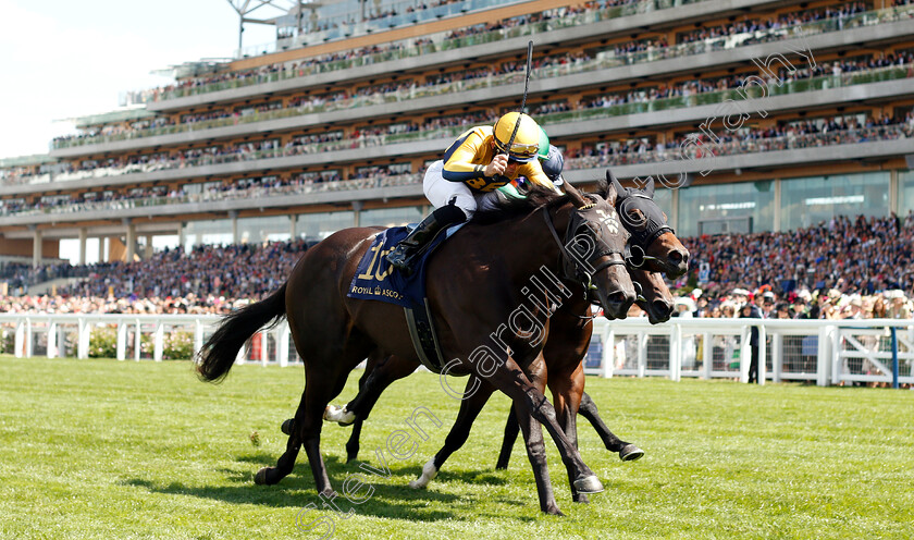 Shang-Shang-Shang-0003 
 SHANG SHANG SHANG (Joel Rosario) wins The Norfolk Stakes
Royal Ascot 21 Jun 2018 - Pic Steven Cargill / Racingfotos.com