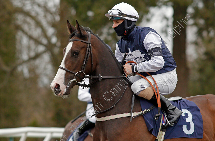 Tenaya-Canyon-0002 
 TENAYA CANYON (Richard Kingscote)
Lingfield 26 Mar 2021 - Pic Steven Cargill / Racingfotos.com