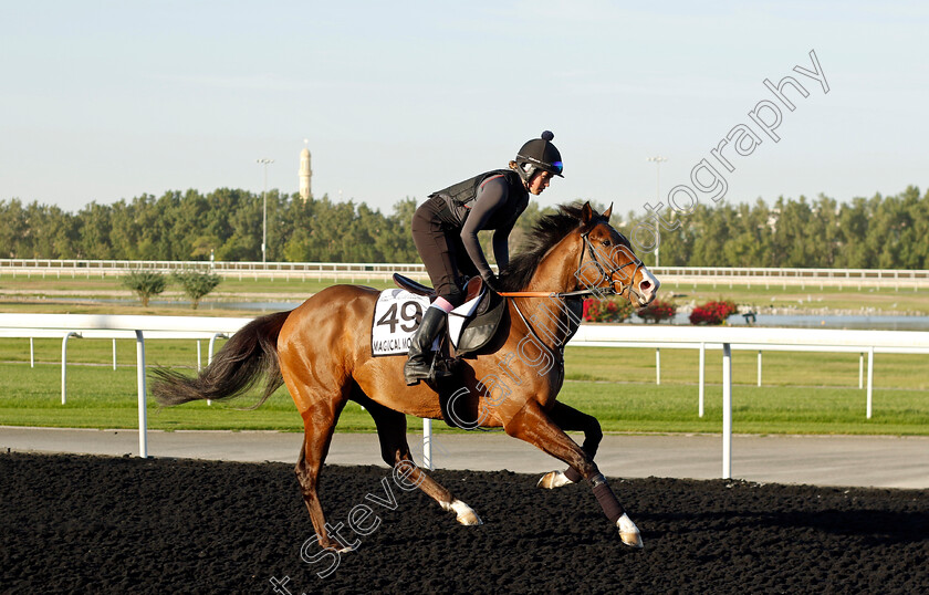 Magical-Morning-0004 
 MAGICAL MORNING training at the Dubai World Cup Carnival
Meydan 5 Jan 2023 - Pic Steven Cargill / Racingfotos.com