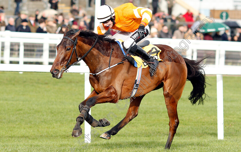 Fakir-D Oudairies-0003 
 FAKIR D'OUDAIRIES (J J Slevin) wins The JCB Triumph Trial Juvenile Hurdle
Cheltenham 26 Jan 2019 - Pic Steven Cargill / Racingfotos.com