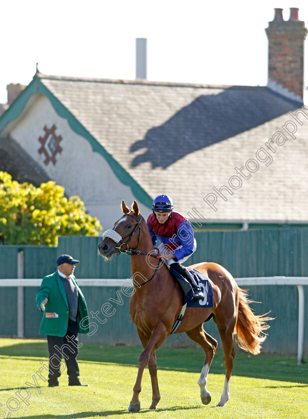 Prosecco-0001 
 PROSECCO (Ryan Moore)
Yarmouth 18 Oct 2022 - Pic Steven Cargill / Racingfotos.com