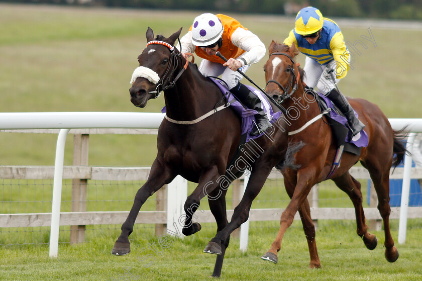 Kylie-Rules-0004 
 KYLIE RULES (Tom Eaves) wins The Dr Eddie Moll Handicap
Beverley 29 May 2019 - Pic Steven Cargill / Racingfotos.com