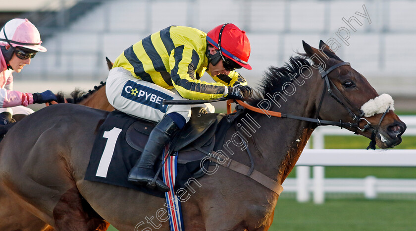 Whitehotchillifili-0002 
 WHITEHOTCHILLIFILI (Jonathan Burke)
Warwick 22 Nov 2023 - Pic Steven Cargill / Racingfotos.com