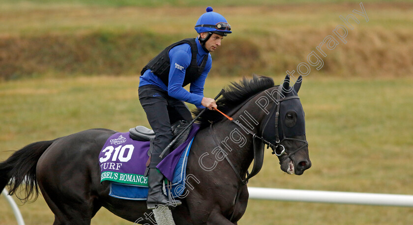 Rebel s-Romance-0002 
 REBEL'S ROMANCE training for the Breeders' Cup Turf
Keeneland USA 1 Nov 2022 - Pic Steven Cargill / Racingfotos.com