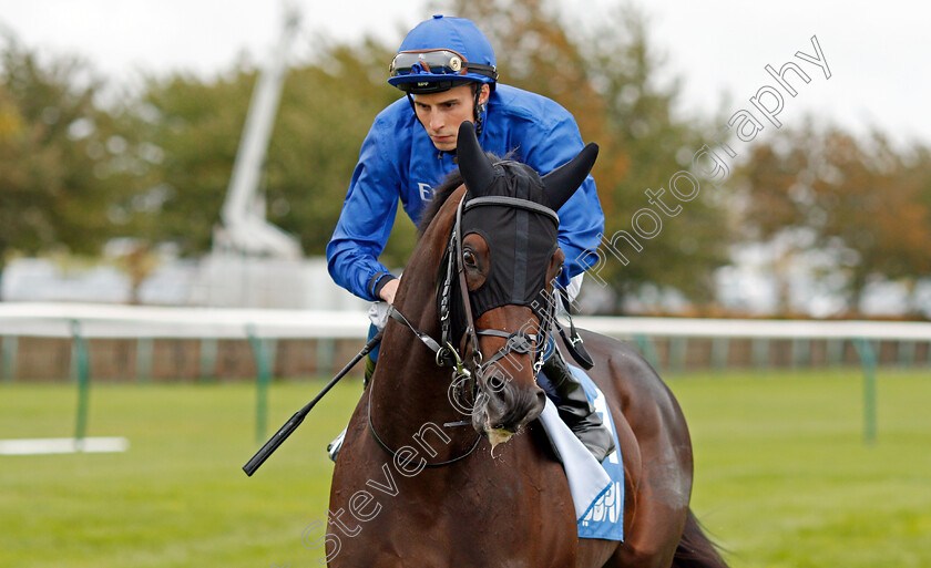 Al-Suhail-0001 
 AL SUHAIL (William Buick)
Newmarket 12 Oct 2019 - Pic Steven Cargill / Racingfotos.com