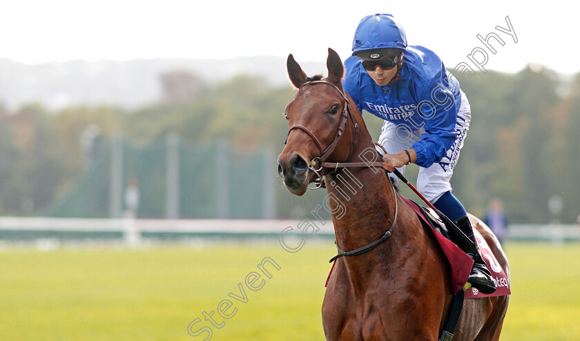 Victor-Ludorum-0002 
 VICTOR LUDORUM (Mickael Barzalona) before The Qatar Prix Jean-Luc Lagadere
Longchamp 6 Oct 2019 - Pic Steven Cargill / Racingfotos.com