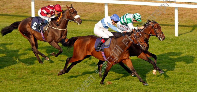 Natural-Path-0003 
 NATURAL PATH (right, Tom Marquand) beats SPIRITED GUEST (centre) in The Moulton Nurseries Handicap
Yarmouth 16 Sep 2021 - Pic Steven Cargill / Racingfotos.com