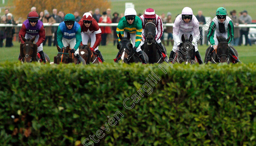 Josies-Orders-0004 
 JOSIES ORDERS (Mark Walsh, centre) wins The Glenfarclas Cross Country Handicap Chase
Cheltenham 16 Nov 2018 - Pic Steven Cargill / Racingfotos.com