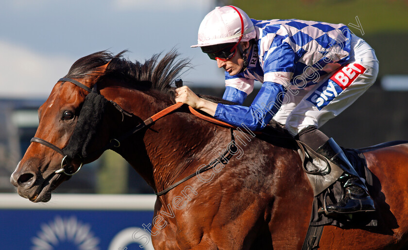 Leader-Writer-0007 
 LEADER WRITER (Fran Berry) wins The Weatherbys Handicap Ascot 8 Sep 2017 - Pic Steven Cargill / Racingfotos.com