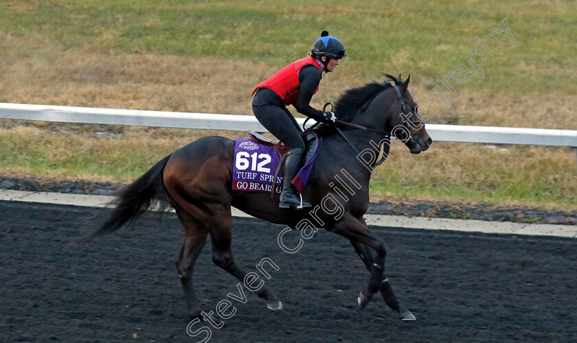 Go-Bears-Go-0002 
 GO BEARS GO training for the Breeders' Cup Turf Sprint
Keeneland USA 1 Nov 2022 - Pic Steven Cargill / Racingfotos.com