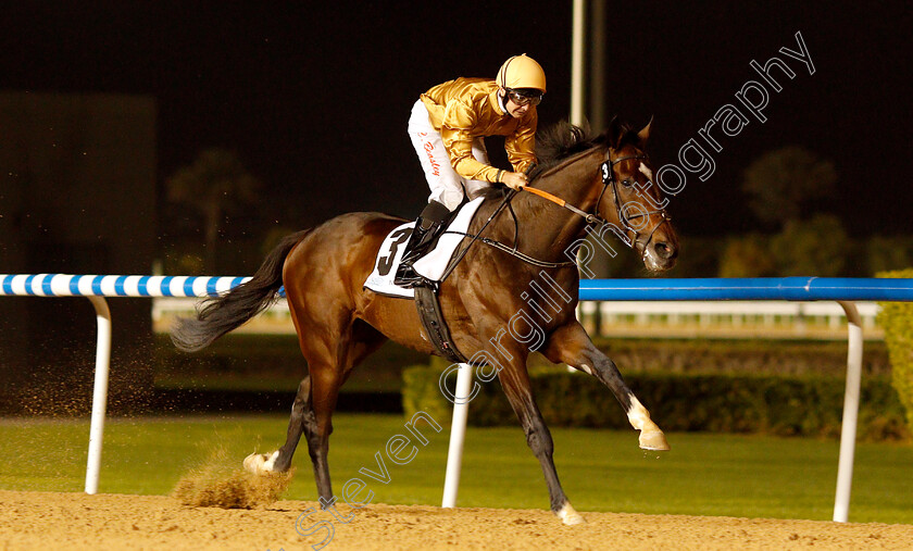 New-Trails-0003 
 NEW TRAILS (Connor Beasley) wins The Special Olympics Cup Handicap
Meydan 10 Jan 2019 - Pic Steven Cargill / Racingfotos.com