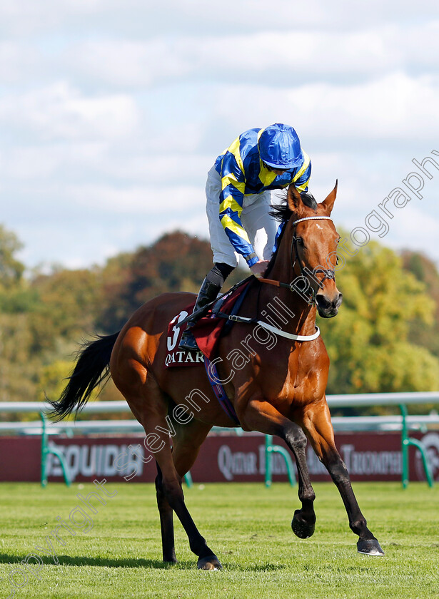 Trueshan-0001 
 TRUESHAN (James Doyle)
Longchamp 5 Oct 2024 - Pic Steven Cargill / Racingfotos.com