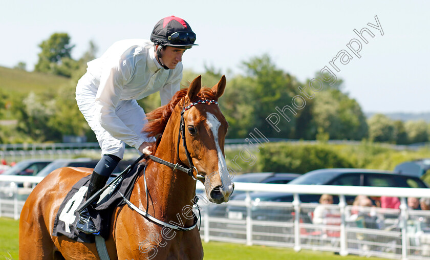 Fast-Tara-0002 
 FAST TARA (Ben Coen)
Goodwood 26 May 2023 - Pic Steven Cargill / Racingfotos.com