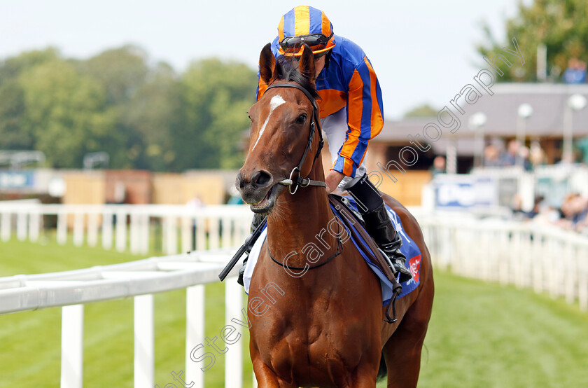 Heavens-Gate-0002 
 HEAVENS GATE (Ryan Moore)
York 22 Aug 2024 - pic Steven Cargill / Racingfotos.com