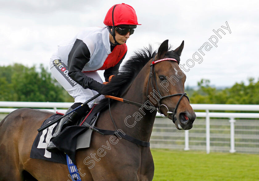 Makinmedoit 
 MAKINMEDOIT (Hayley Turner)
Goodwood 20 May 2022 - Pic Steven Cargill / Racingfotos.com