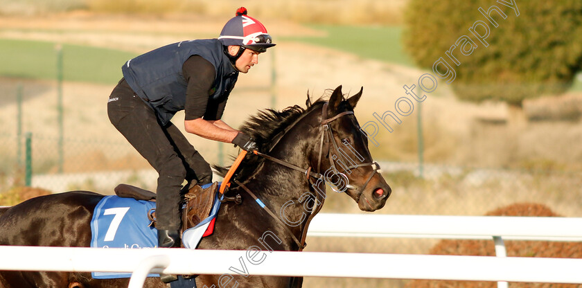 Pogo-0002 
 POGO training for The 1351 Turf Sprint
King Abdulaziz Racecourse, Kingdom Of Saudi Arabia, 23 Feb 2023 - Pic Steven Cargill / Racingfotos.com