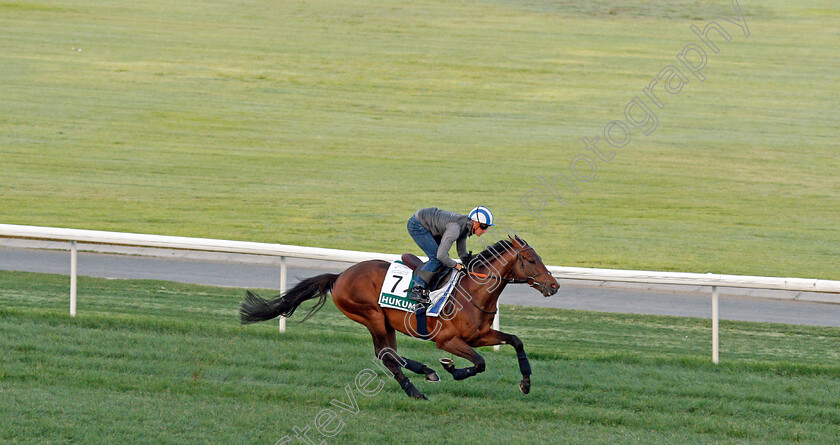 Hukum-0002 
 HUKUM (Jim Crowley) training for The Sheema Classic
Meydan, Dubai, 24 Mar 2022 - Pic Steven Cargill / Racingfotos.com