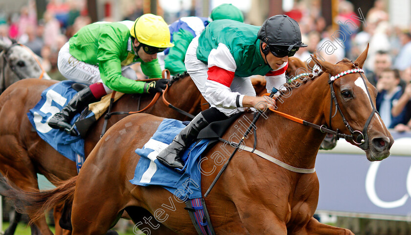 The-Flying-Ginger-0003 
 THE FLYING GINGER (Ben Curtis) wins The Assured Data Protection EBF Fillies Handicap
York 20 Aug 2021 - Pic Steven Cargill / Racingfotos.com