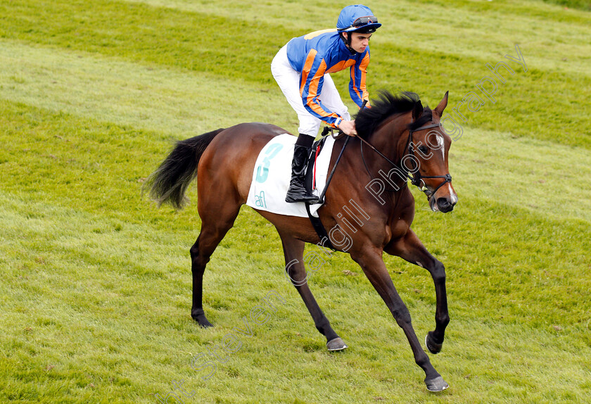 Forever-Together-0001 
 FOREVER TOGETHER (Donnacha O'Brien)
Chester 9 May 2018 - Pic Steven Cargill / Racingfotos.com