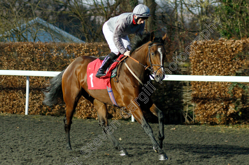 Times-Past-0001 
 TIMES PAST (Edward Greatrex)
Kempton 12 Dec 2018 - Pic Steven Cargill / Racingfotos.com