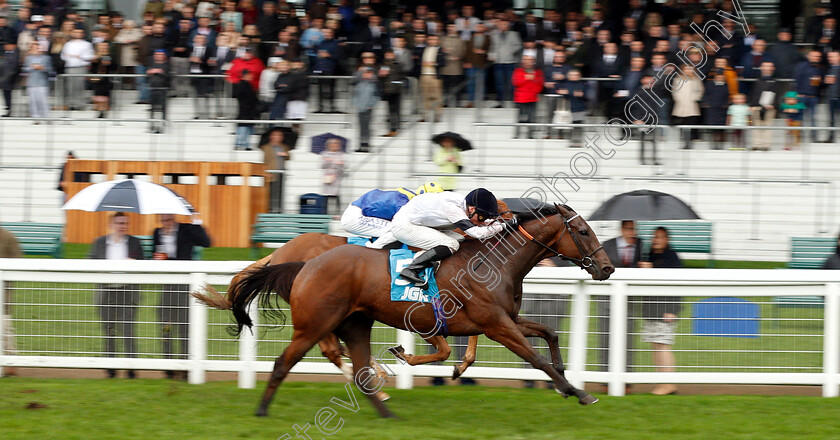 Projection-0004 
 PROJECTION (Kieran Shoemark) wins The John Guest Racing Bengough Stakes
Ascot 6 Oct 2018 - Pic Steven Cargill / Racingfotos.com