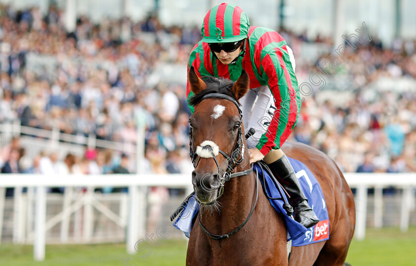 Okita-Soushi-0004 
 OKITA SOUSHI (M P Sheehy)
York 20 Aug 2022 - Pic Steven Cargill / Racingfotos.com