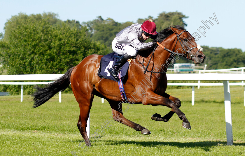 Balhambar-0004 
 BALHAMBAR (Richard Kingscote) wins The Cazoo Maiden Stakes Div2
Chepstow 27 May 2022 - Pic Steven Cargill / Racingfotos.com