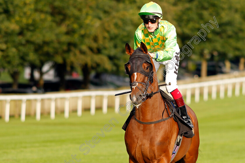 Control-0001 
 CONTROL (David Egan)
Newmarket 28 Jul 2023 - Pic Steven Cargill / Racingfotos.com