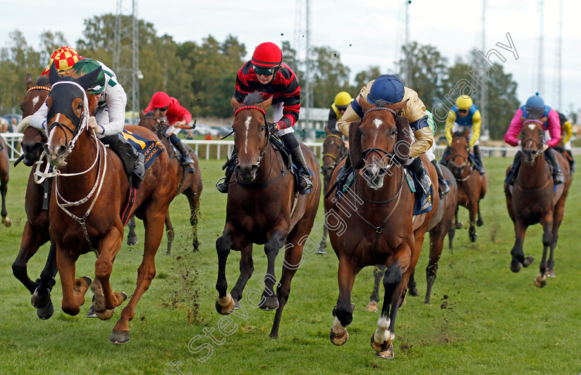 Hard-One-To-Please-0002 
 HARD ONE TO PLEASE (left, Pat Cosgrave) beats OUTBOX (right) in The Stockholm Cup International
Bro Park, Sweden 18 Sep 2022 - Pic Steven Cargill / Racingfotos.com