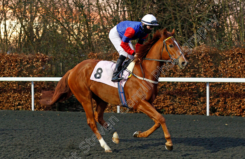 Saray-Prince-0001 
 SARAY PRINCE (Dylan Hogan)
Kempton 3 Feb 2021 - Pic Steven Cargill / Racingfotos.com