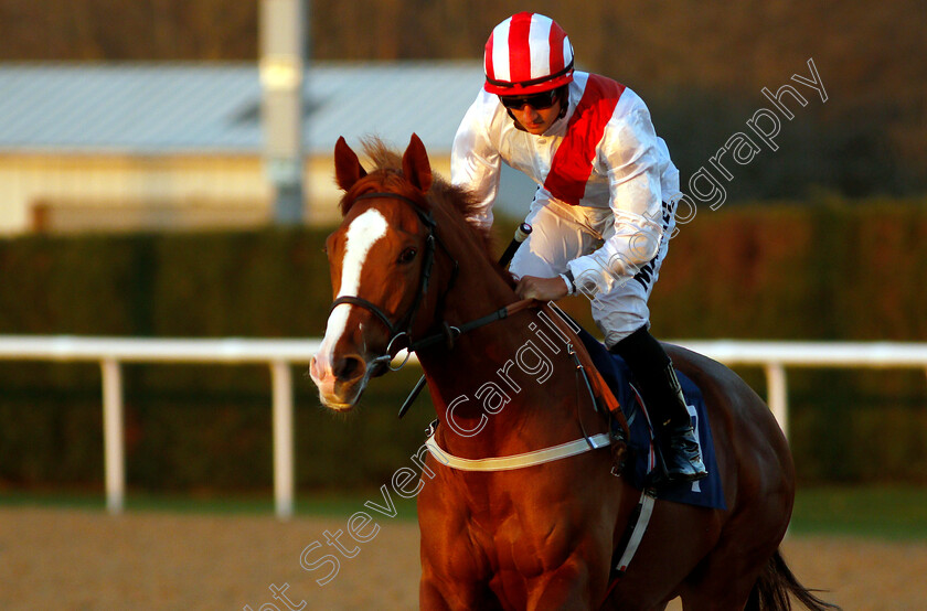 Percy-Alexander-0001 
 PERCY ALEXANDER (Tom Marquand)
Wolverhampton 26 Feb 2019 - Pic Steven Cargill / Racingfotos.com