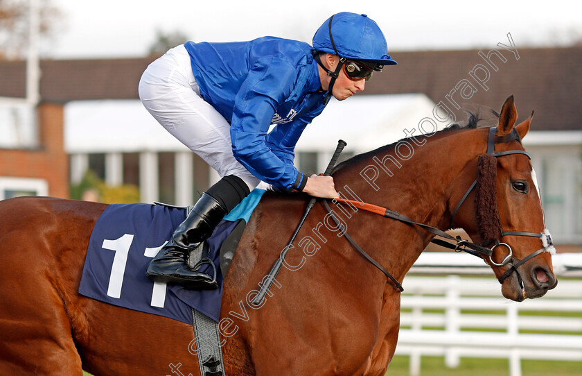 Celestial-Spheres-0001 
 CELESTIAL SPHERES (William Buick) Chelmsford 21 Nov 2017 - Pic Steven Cargill / Racingfotos.com