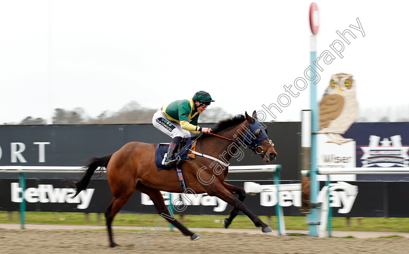 Navajo-Star-0004 
 NAVAJO STAR (William Carver) wins The Betway Stayers Apprentice Handicap
Lingfield 2 Mar 2019 - Pic Steven Cargill / Racingfotos.com