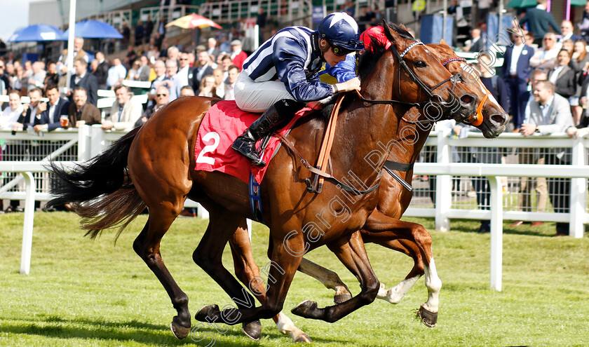 Ragnar-0005 
 RAGNAR (Jason Watson) beats RHYTHMIC INTENT (farside) in The Beck Celebrating 25 Years Of Excellence Handicap
Sandown 14 Jun 2019 - Pic Steven Cargill / Racingfotos.com