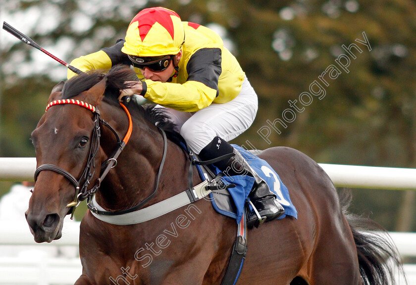 Kenzai-Warrior-0006 
 KENZAI WARRIOR (Jason Watson) wins The Irish Thoroughbred Marketing Novice Stakes
Salisbury 5 Sep 2019 - Pic Steven Cargill / Racingfotos.com