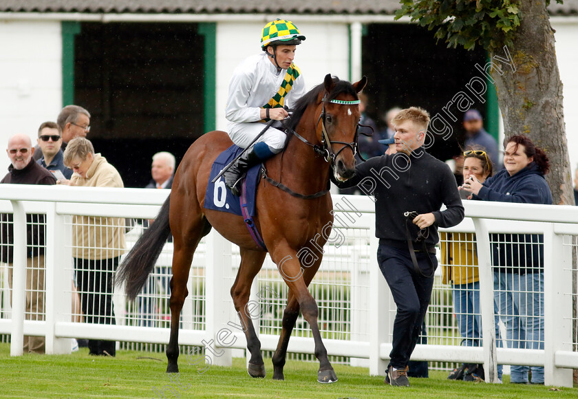 Sala-Da-Ballo-0001 
 SALA DA BALLO (William Buick)
Yarmouth 19 Sep 2023 - Pic Steven Cargill / Racingfotos.com