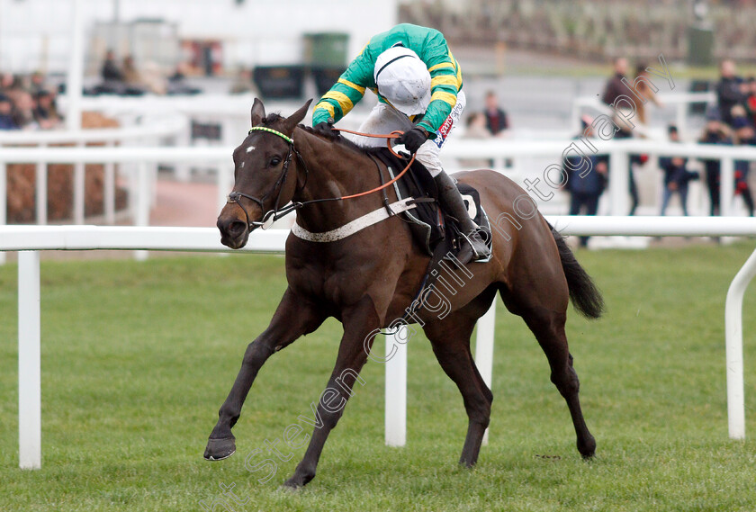 Birchdale-0003 
 BIRCHDALE (Barry Geraghty) wins The Ballymore Novices Hurdle
Cheltenham 26 Jan 2019 - Pic Steven Cargill / Racingfotos.com